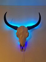 Tierschädel mit LED - Rinderschädel