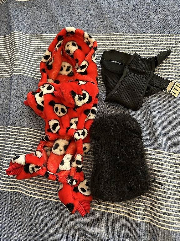 Abbigliamento: Vestito per cani e accessori 8 fr  – Usato da Lugano venduto da bef_6qcn
