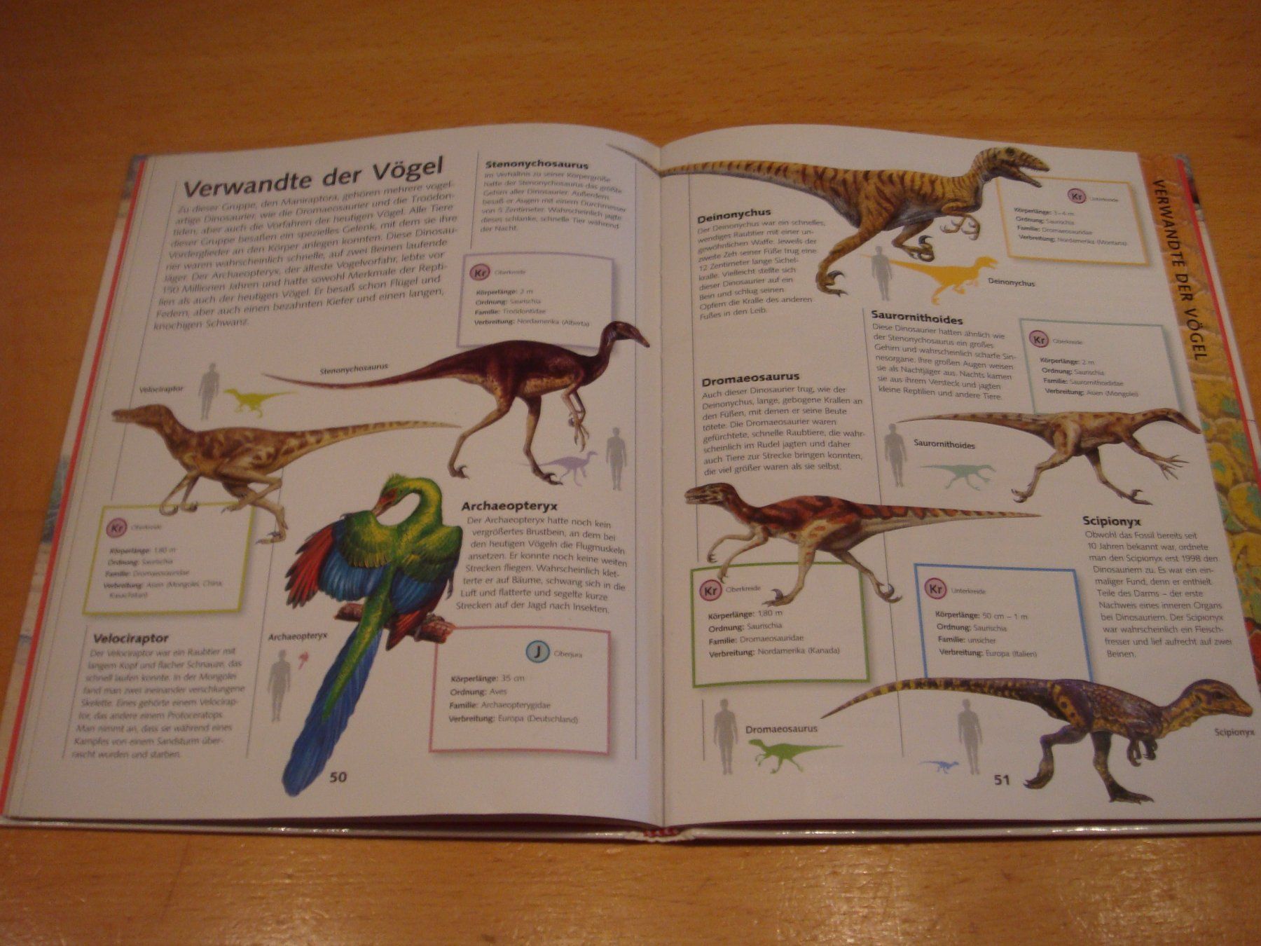 Figuren: Dinosaurier gross und klein mehrere – Gebraucht aus Reinach BL von Maryichbins 6