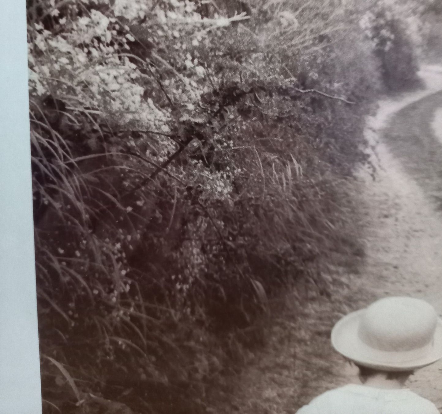 Foto & Immagini: Print von CAROLINE ARBER – Nuovo (secondo la descrizione) da Binningen venduto da mar_2jlr 1