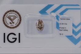 Natürlicher Diamant (Natürlich farbig) 3.08ct - Oval - Fancy