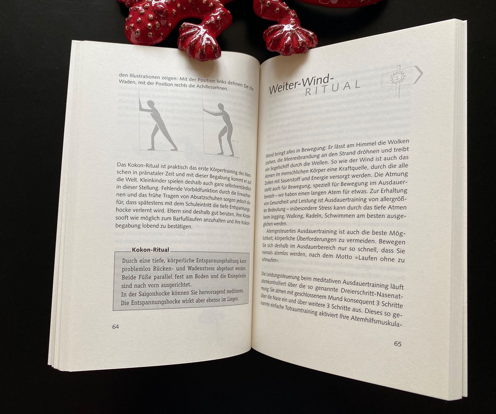 Libri: ANTI-STRESS RITUALE – Usato da Nussbaumen AG venduto da schuba2000 2