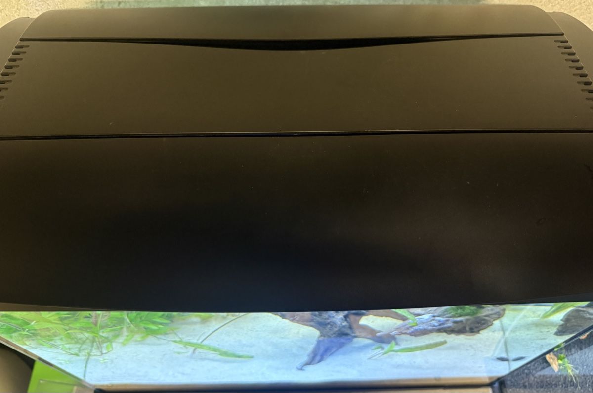 Acquari: Aquarium Amazonas F75 – Usato da Winterthur venduto da Lati85 2