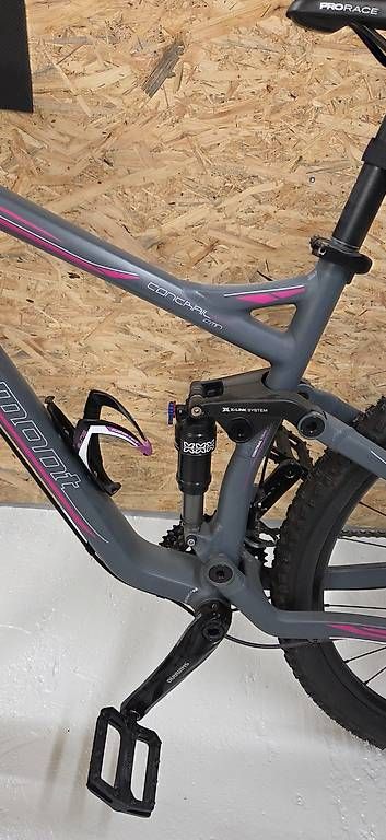 Bergamont Velos: Bergamont Contrail 6.4 Fmn – Gebraucht aus Bitsch von Bitscher 1