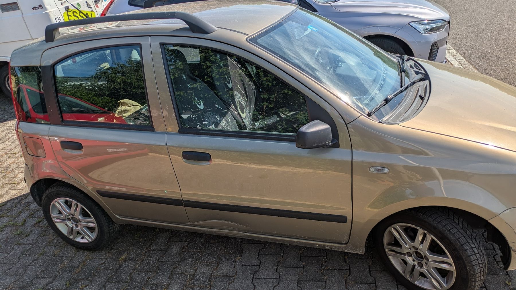 Fiat Automobili: Fiat Panda 1.2 - not 4x4 - – Usato da Düdingen venduto da daniel.gumy 6