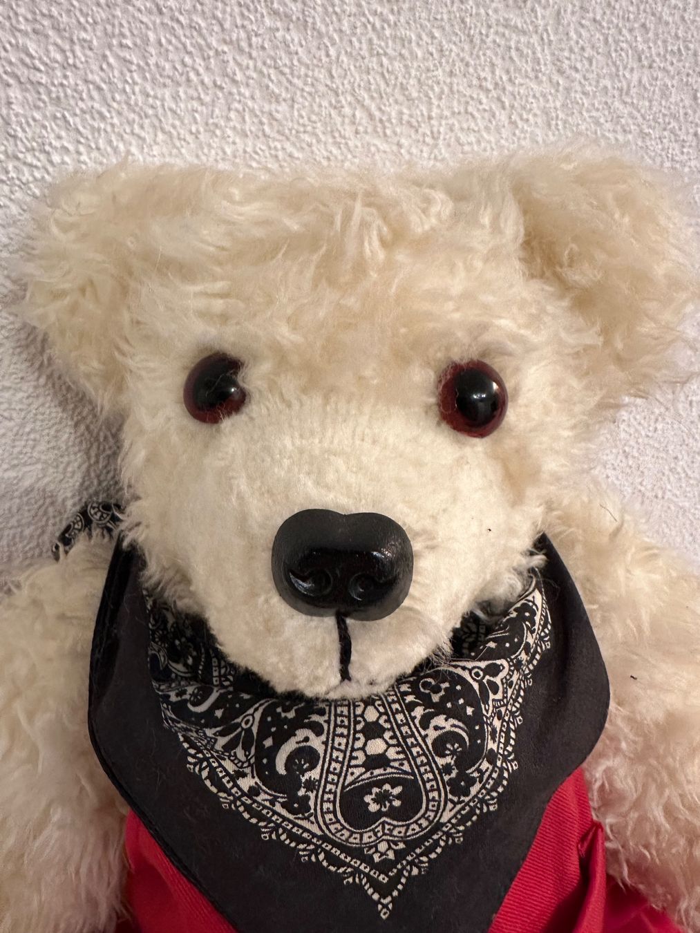 Spielzeuge: Teddy-Bär RUEDI - handgemachtes Unikat! – Neu und originalverpackt aus Oberwil b. Büren von Jcmjcm 5