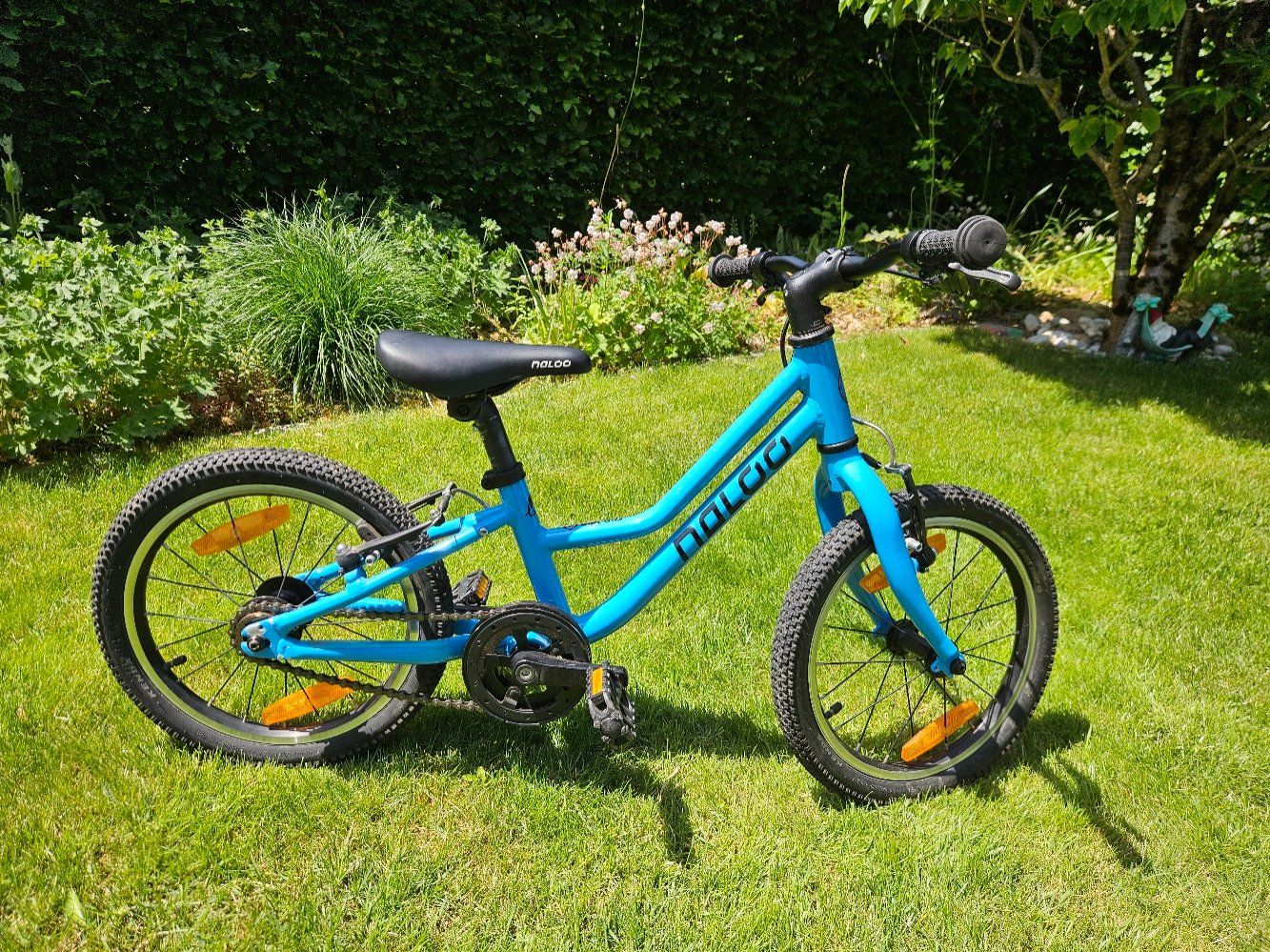 Naloo Biciclette: Naloo Chameleon 16 – Usato da Münsingen venduto da Wahlstroem 2