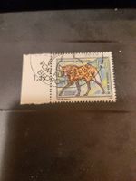 DDR timbre rare - Tierpark Berlin 1980 - Loup à crinière!
