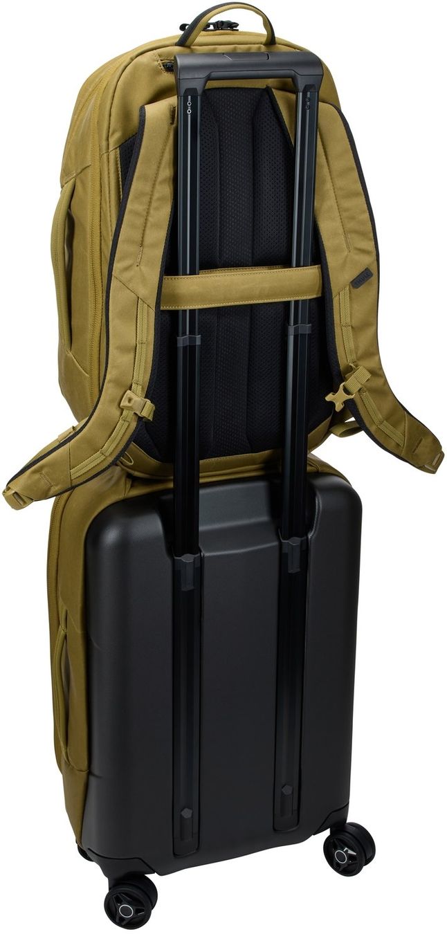 Sacs à dos: Thule Aion Backpack 28L - nutria – Neuf avec emballage d'origine à Hitzkirch par Thali_AG 7