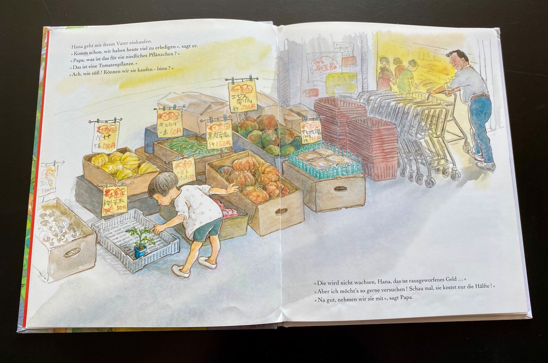 Libri: Das Tomatenfest – Usato da Nussbaumen AG venduto da schuba2000 2