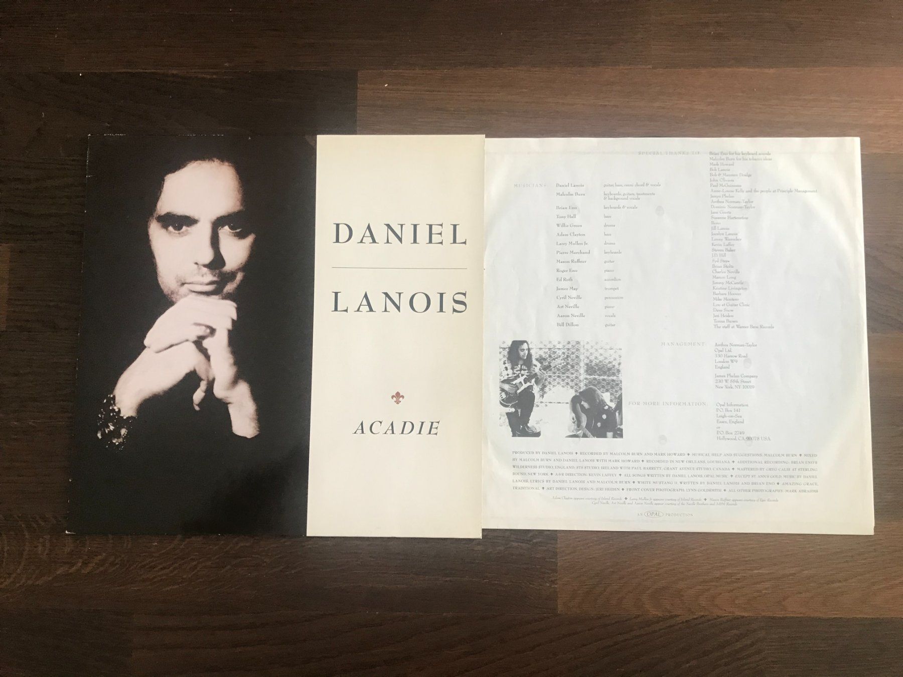 Dischi in vinile: DANIEL LANOIS - Acadie – Usato da Buchs AG venduto da Archie