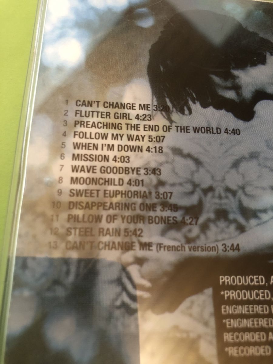 CD: Chris Cornell -  Euphoria Morning – Usato da Flaach venduto da rubo7 2
