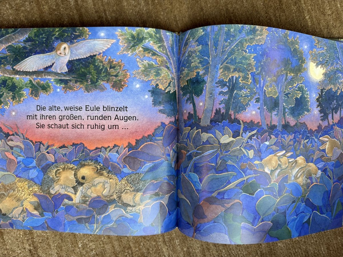 Livres: Bilderbuch - Wenn es Abend wird im Wald – Neuf (Voir description) à Aarau par Kilauea 7