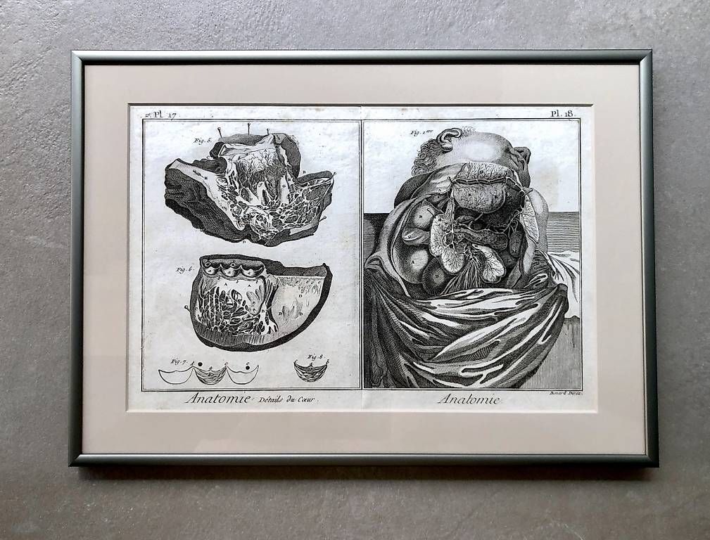 Poster & Bilder: 18. Jahrhundert Kupferstich Robert Benard – Neu und originalverpackt aus Baar von MY1993 2