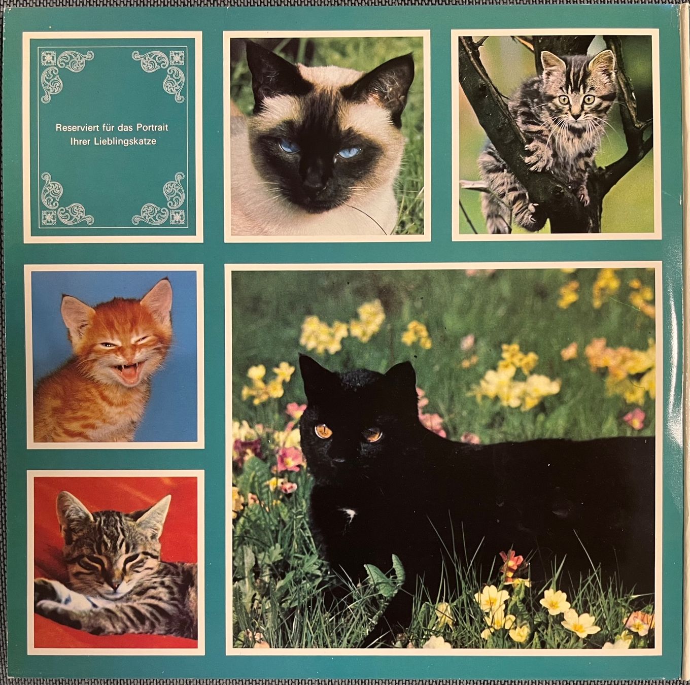 Dischi in vinile: Seltene Schallplatten, Liselotte Pulver - Katzen – Usato da Döttingen venduto da zha_xh2w 2