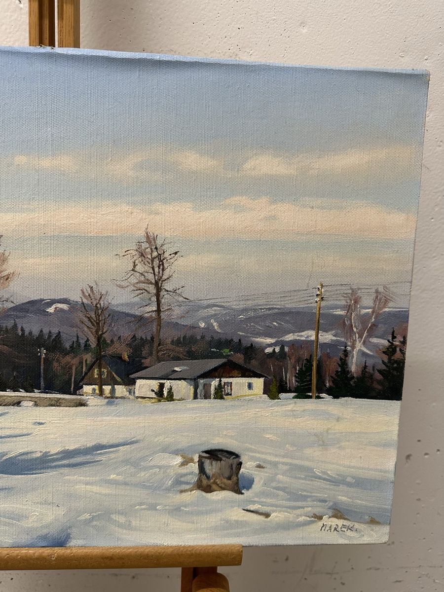 Dipinti: Winterlandschaft Ölgemälde signiert Marek – Usato da Ebikon venduto da Gaenggeliwaar 2