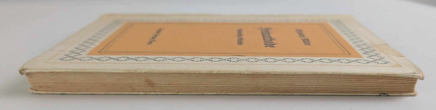 Libri: Heimatbode, Elisabeth Müller, Bärndütschi Gschichte, Bern – Usato da Zürich venduto da 1.Simon 6