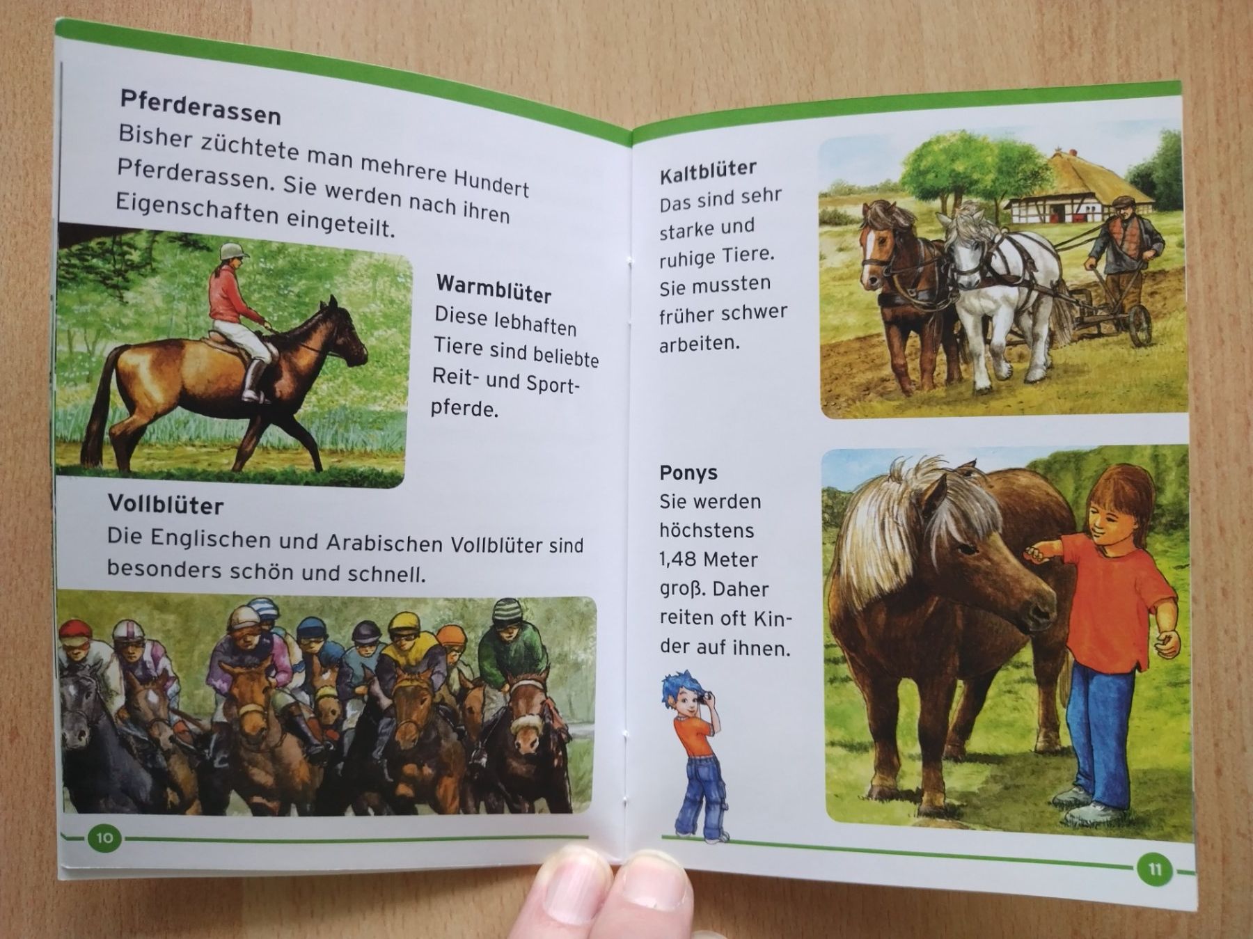 Bücher: Benny Blu - Pferde / Schön, schnell und stark – Neu (gemäss Beschreibung) aus Jona von Argus36 3