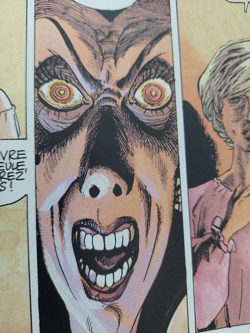 Fumetti: Complainte des Landes Perdues "Dame Gerfaut" EO 1996 – Usato da Genève venduto da Blu_BD 4