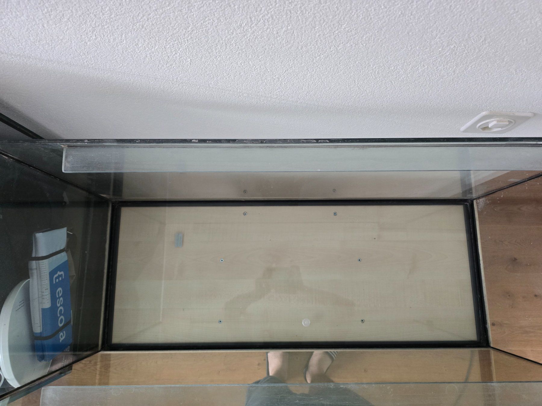 Terrariums: Terrarium – D'occasion à Niederwangen BE par kev_z8sx 1