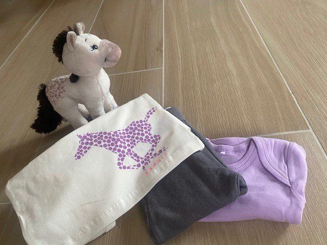 Lotti & Set di vestiti: neues Babyset Gr. 62 "Rössli" – Nuovo (secondo la descrizione) da Staufen venduto da Nasli 1