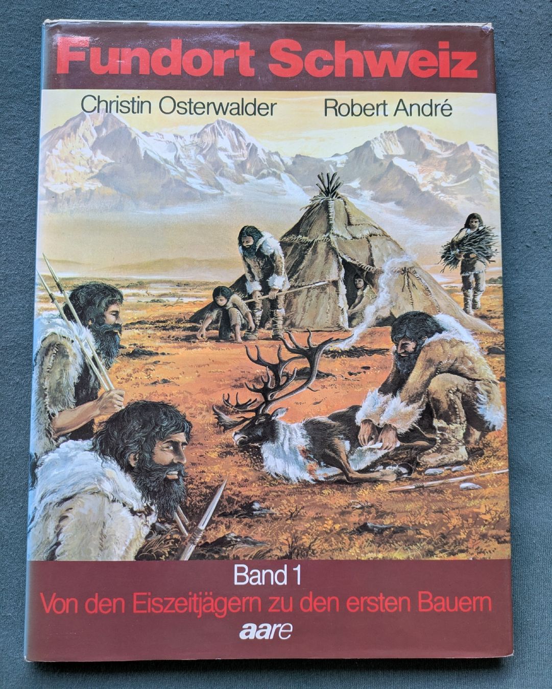 Libri: Fundort Schweiz Band 1 – Usato da Wettingen venduto da ut5430