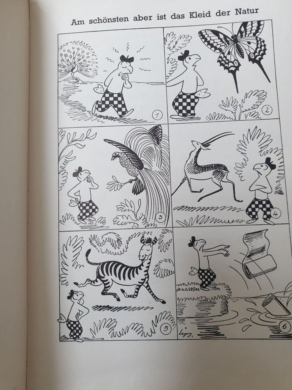 Comics: Globi im Reiche der Tiere – Gebraucht aus Zürich von Ralaualiyas 6