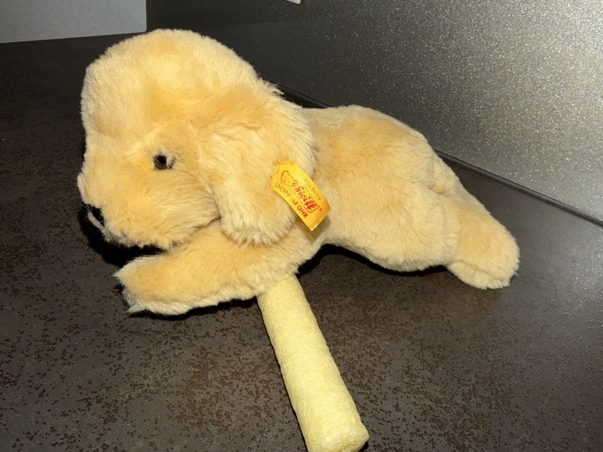 Steiff Jouets: Plüsch Hund STEIFF  – Neuf (Voir description) à Dornach par samuti