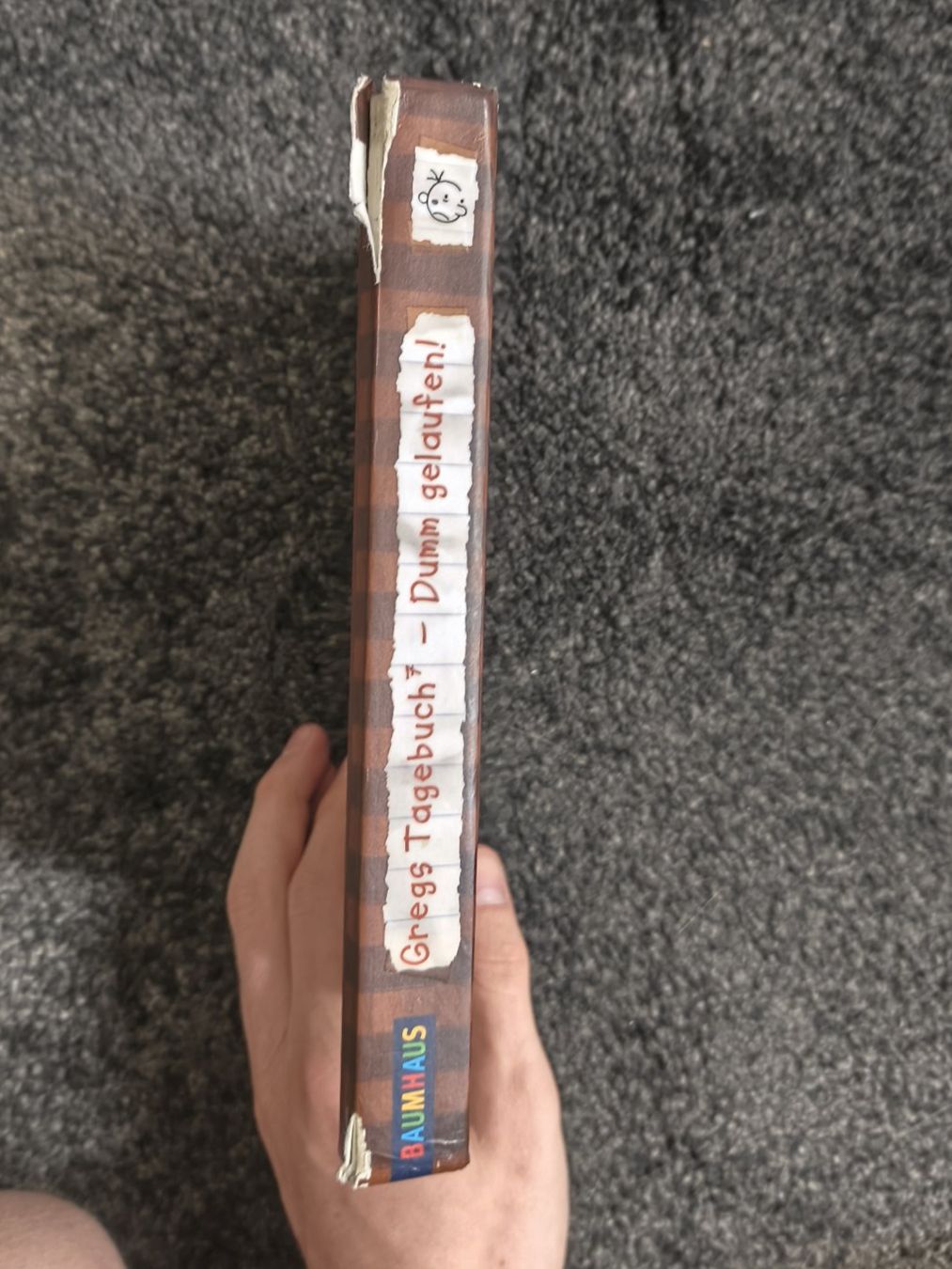 Libri: Gregs Tagebücher – Usato da Boppelsen venduto da Boneddy 2