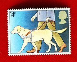 GROSSBRITANNIEN ENGLAND BLINDENHUND LABRADOR 1981 POSTFRISCH
