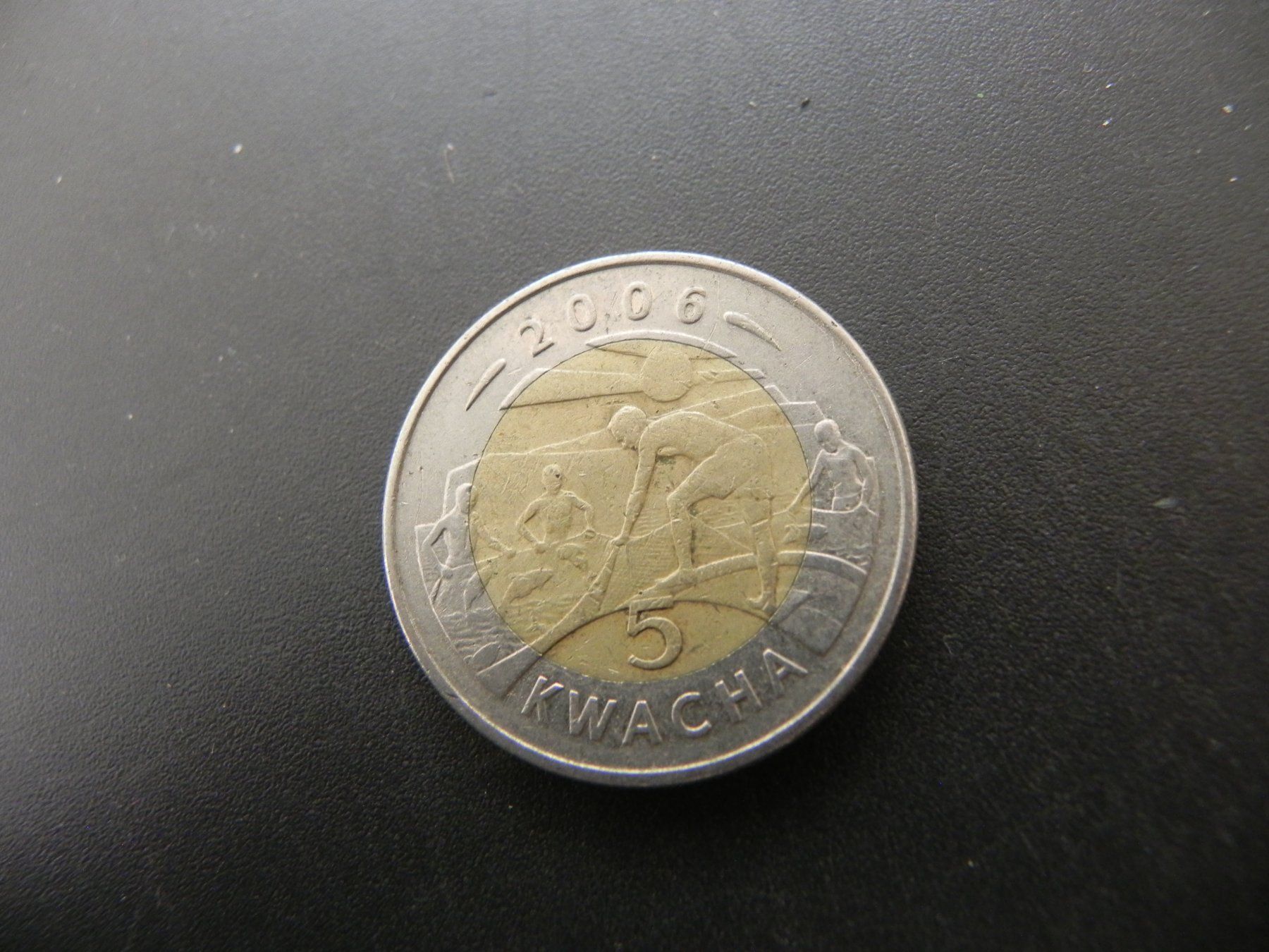 Tutti le monete: Malawi 5 Kwacha 2006 – Usato da Biel/Bienne venduto da Gogolozi