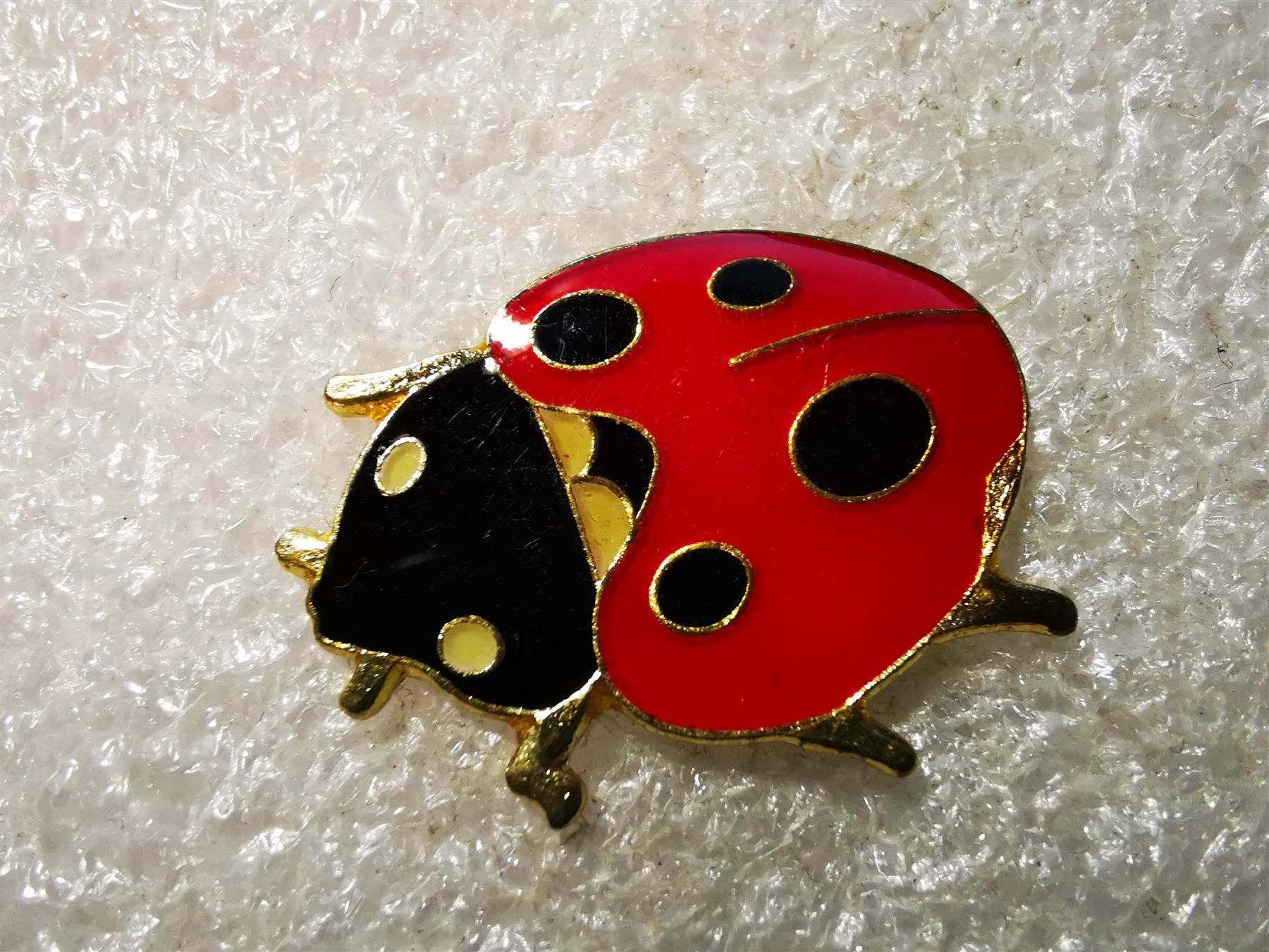 Placchette & Badge: Ansteckpin 26: Marienkäfer – Usato da Oppligen venduto da Pin-Fall-Shop