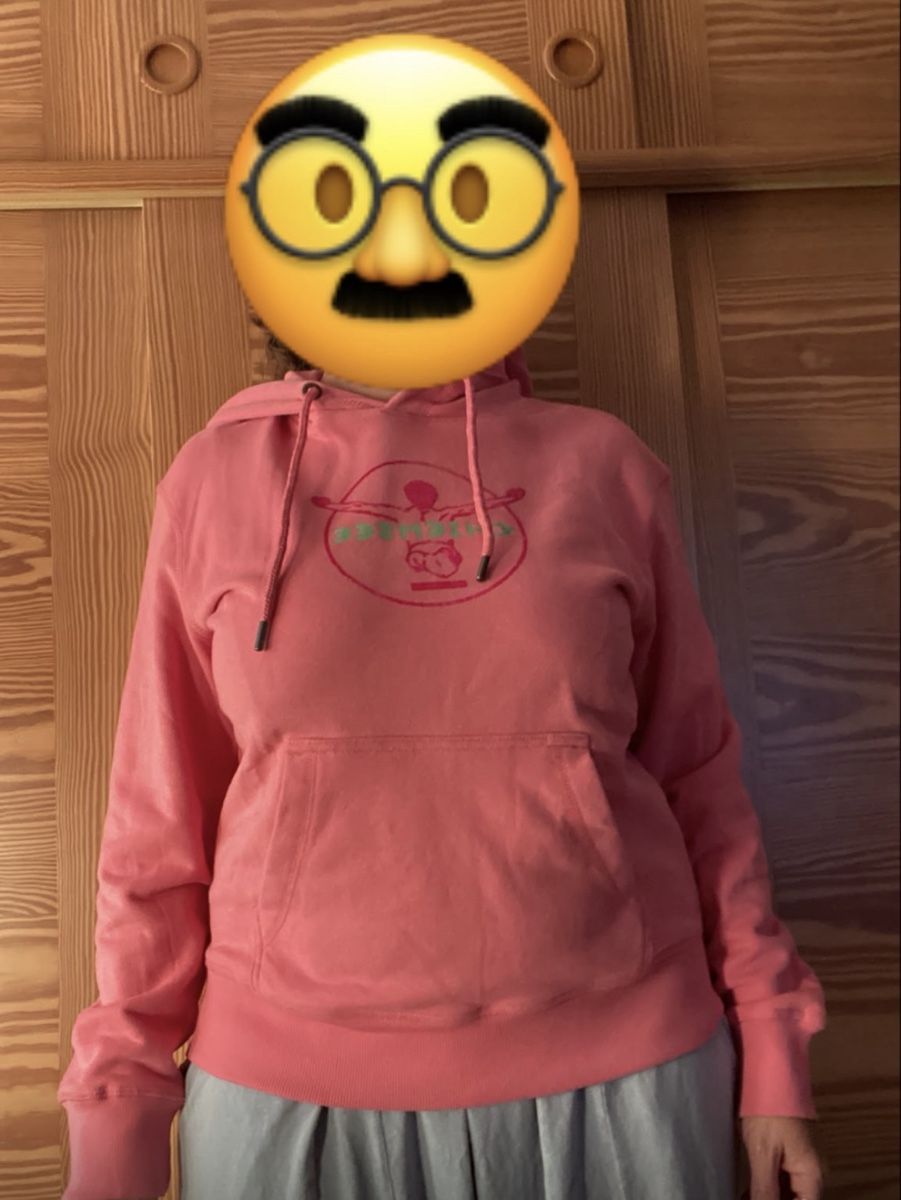 Chiemsee Pullover & Sweatshirts: Pullover vintage Chiemsee neuf – Neu und originalverpackt aus Moutier von Happyvidedressing 6
