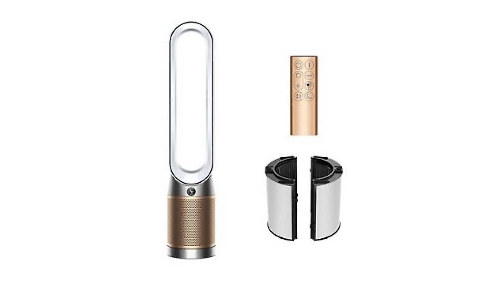 Luftreiniger: Dyson Purifier Cool – Gebraucht aus Basel von ann_cq59 1