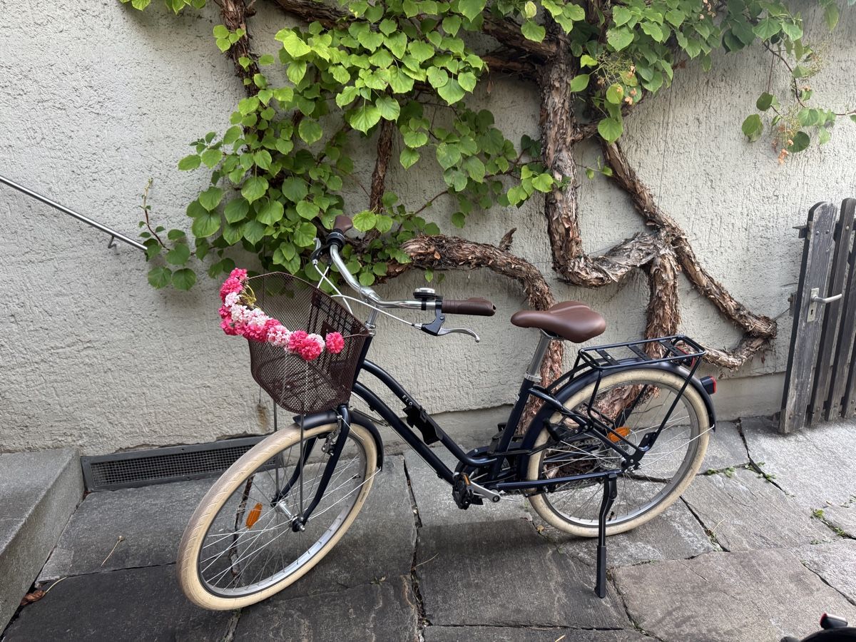 Biciclette: Citybike mit Korb – Nuovo (secondo la descrizione) da Winterthur venduto da Flomiverse 1