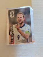 panini coca harry kane