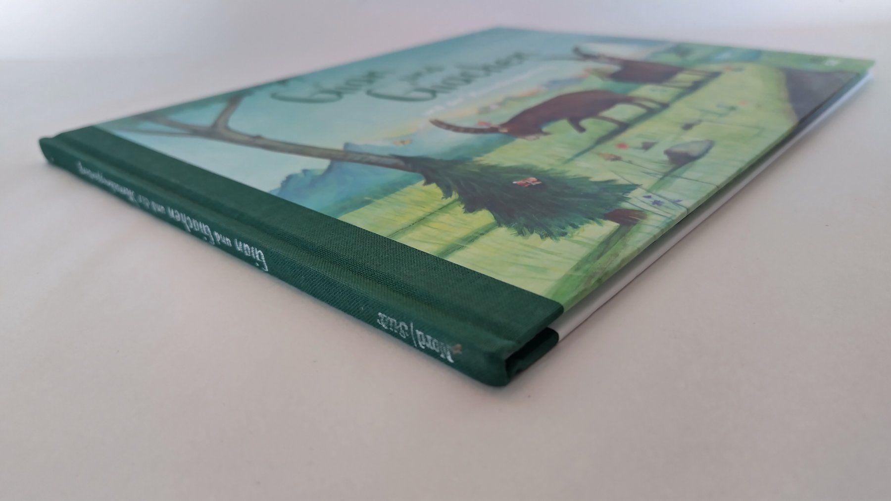 Bücher: Die Steinböcke Gian + Giachen  und der Sternschnuppenberg – Gebraucht aus Bellach von JingleJerry 1