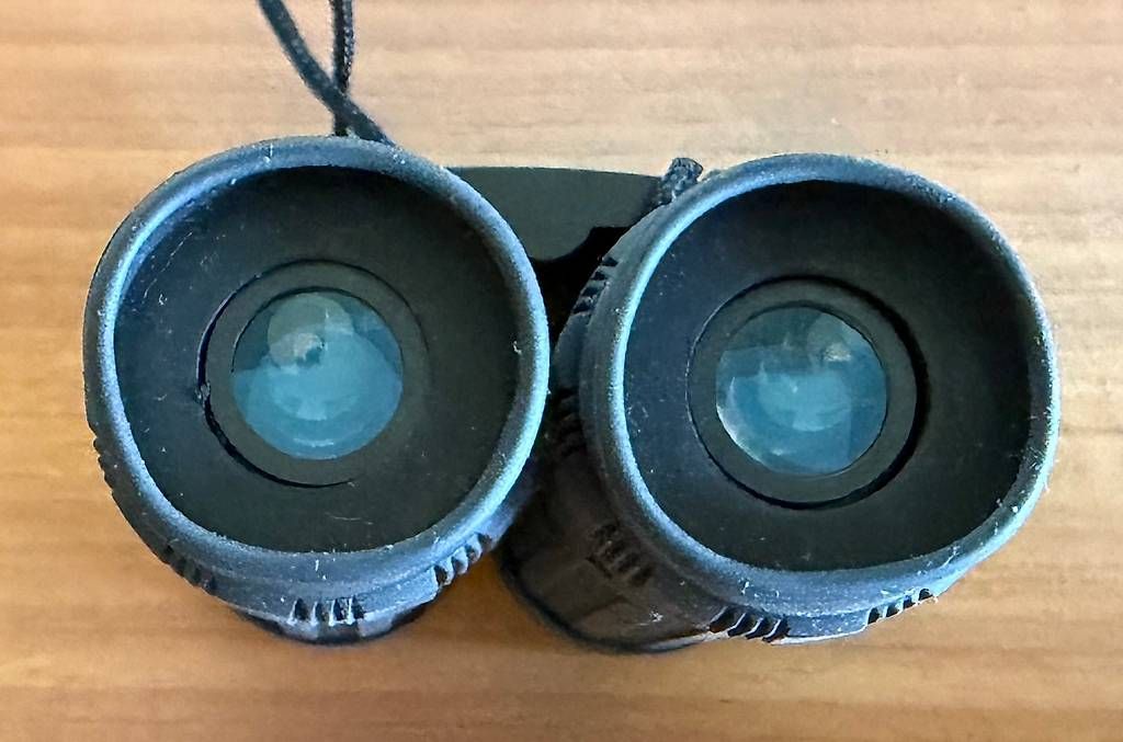 Feldstecher: Kompaktes Fernglas mit einer 8-fachen Vergrösserung – Gebraucht aus Herzogenbuchsee von DC_1978 3