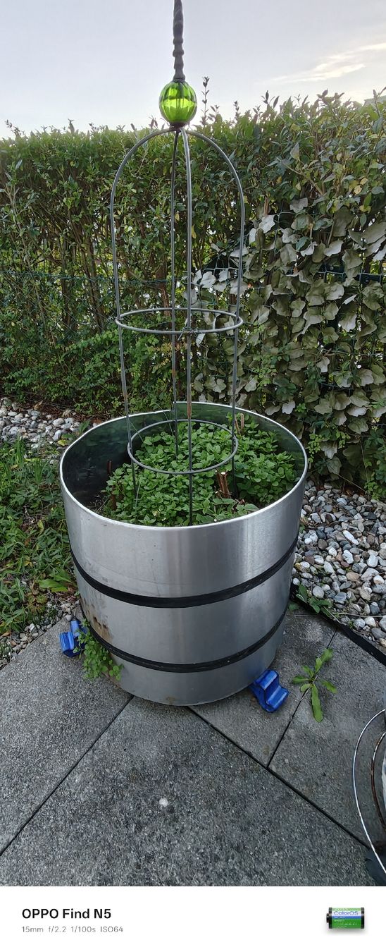 Pots de fleurs: Blummentopf ( ca52cm) – D'occasion à stallikon par Dalacoke 3