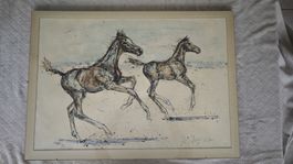 Fritz Hug - Pferde Lithografie 1967 - signiert - 51/150