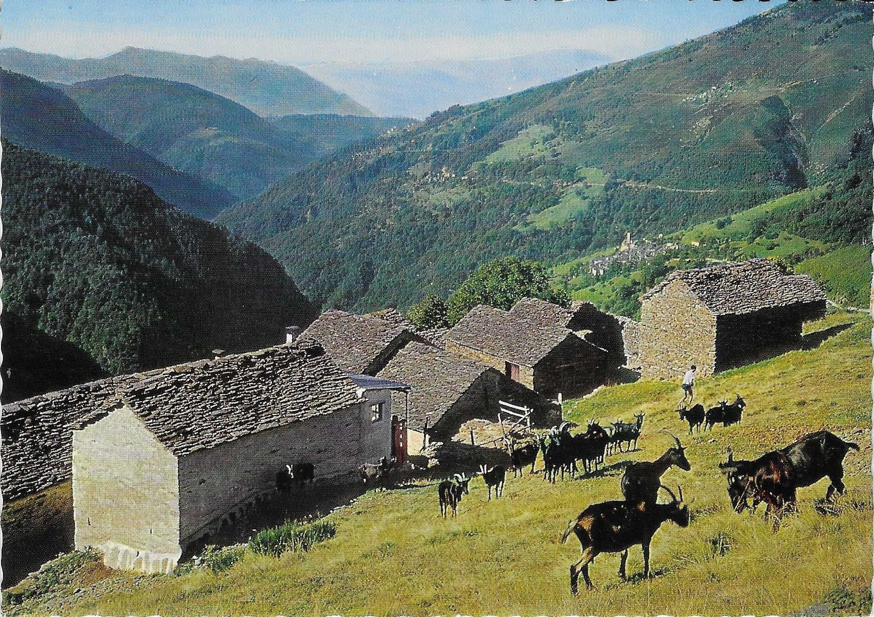 Cartoline postali: Indemini TI – Nuovo (secondo la descrizione) da Rothrist venduto da Stranglehold