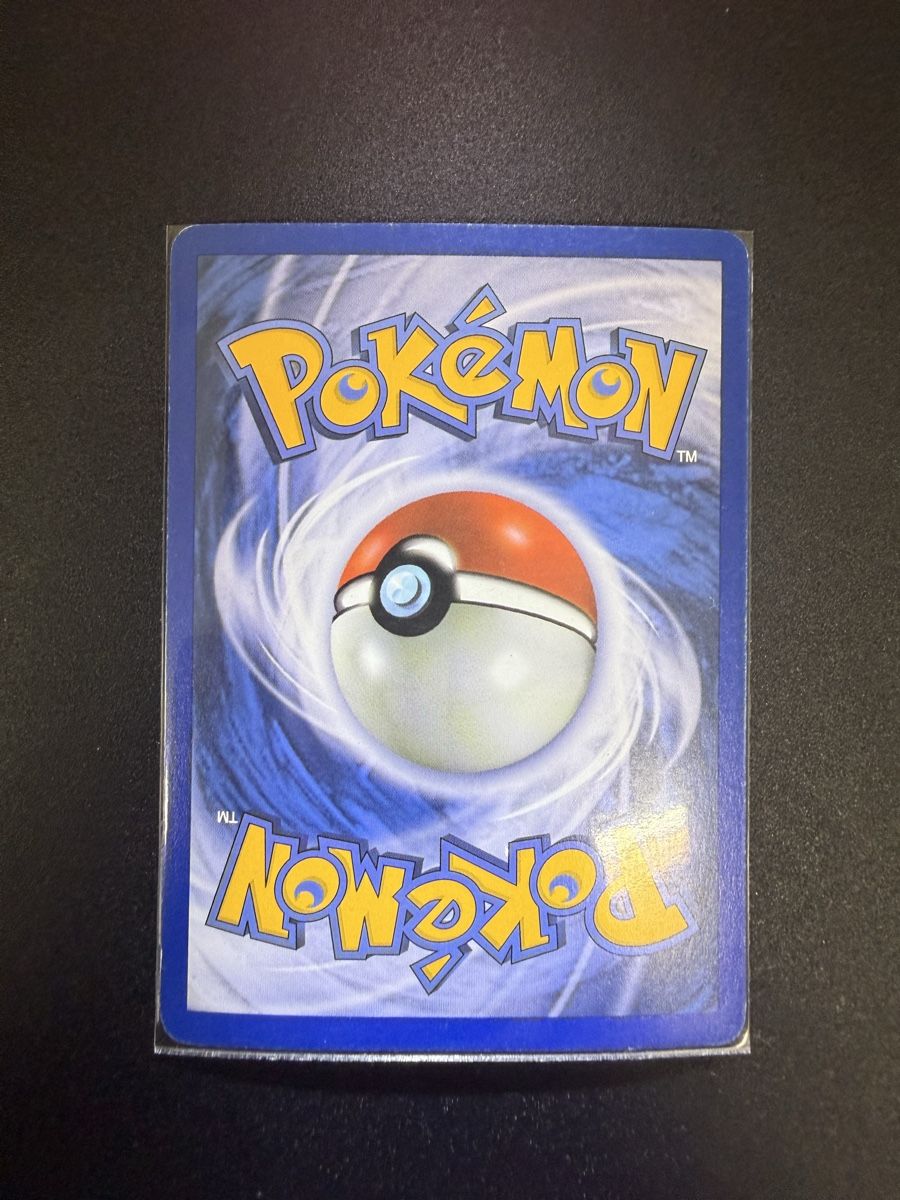 Pokémon Carte collezionabili: TEDDIURSA SKYRIDGE - REVERSE – Nuovo (secondo la descrizione) da Canobbio venduto da ale_85bk 1