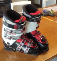 Skischuhe Dalbello