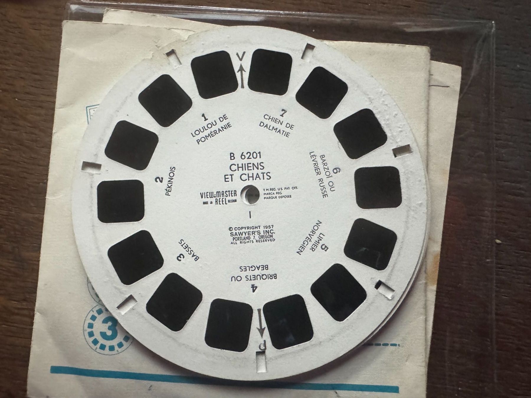 View-master Spielzeuge: View-Master 3D: Nr. B 620 CHIENS et CHATS – Gebraucht aus Tegerfelden von siebenmacky 2