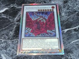 Yu-Gi-Oh! / Schwarzer Rosendrache (Secret Rare)