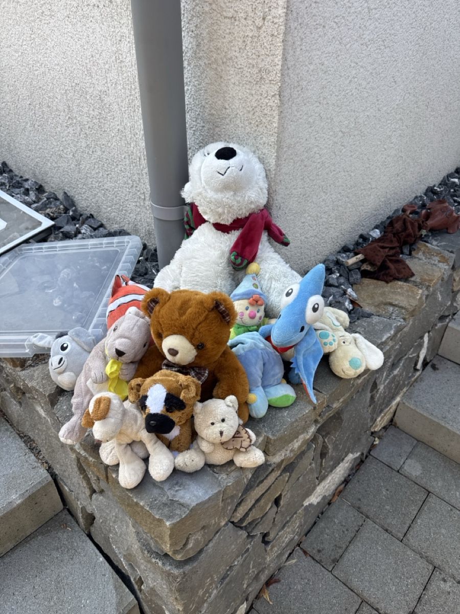 Migros Spielzeuge: Kuscheltiere zum abholen – Gebraucht aus Dintikon von mor_5hgs