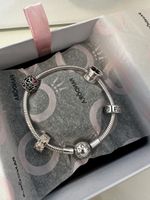 Pandora Bracelet Silver with Charms