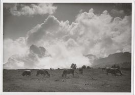Vintage Schönwetter, Braunwaldalp, Landwirtschaft, TOP!