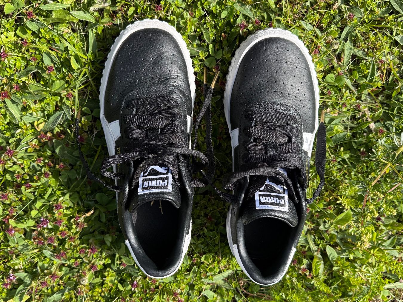 Puma Scarpe da uomo: Puma Cali Sneaker Schwartz Weiss Gr. 38 – Difettoso da Grindelwald venduto da ita_8ffr 1