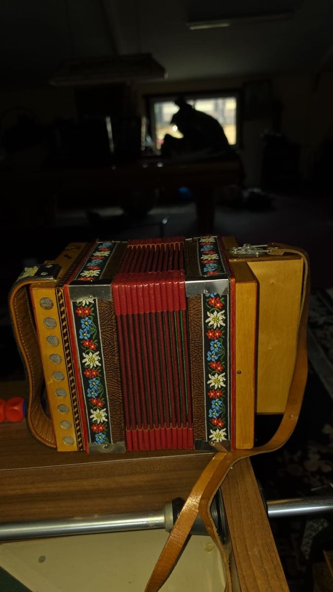 Strumenti musicali: Accordéon schwitzoise  – Usato da Yvonand venduto da Jojo777 3